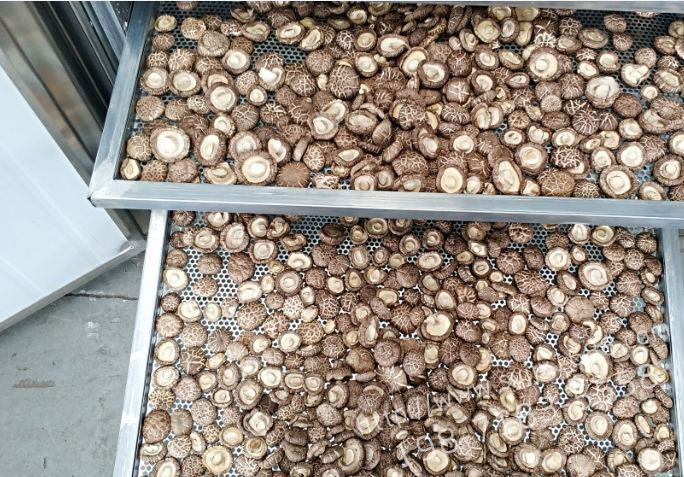 1573010070566470.jpg 香菇.jpg