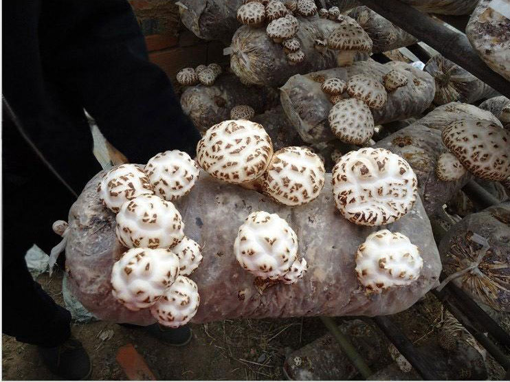 1575019578522534.jpg 00.jpg